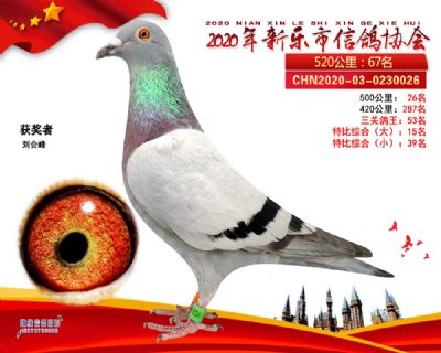 大特比15名