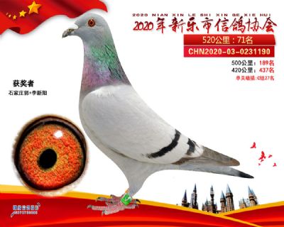 2020新乐协会71