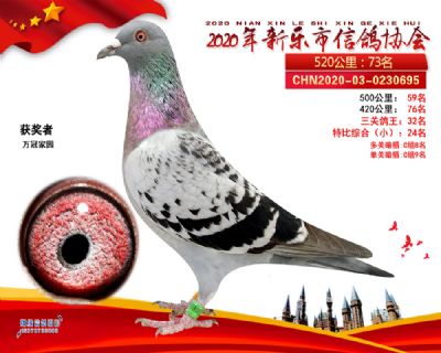 特比24