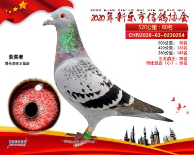 特比20