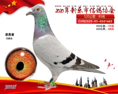 2020新乐协会83