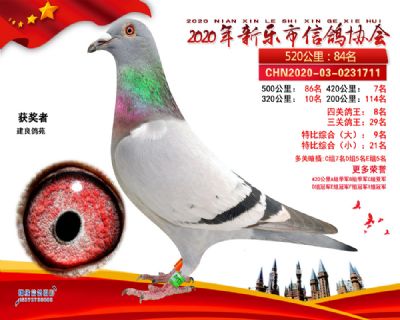 大特比9名