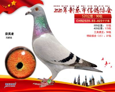 特比37