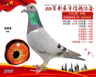 七关鸽王10名