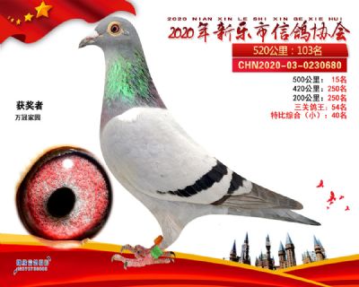 500公里15名