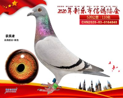 2020新乐协会110