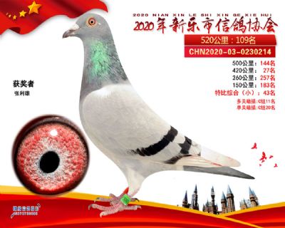 特比43