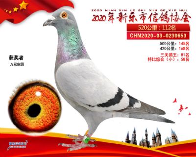 特比58