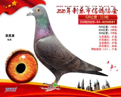 黑玫瑰