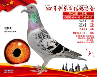 500公里19