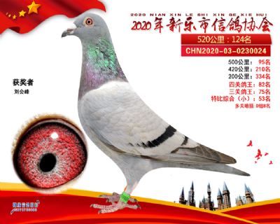 特比53