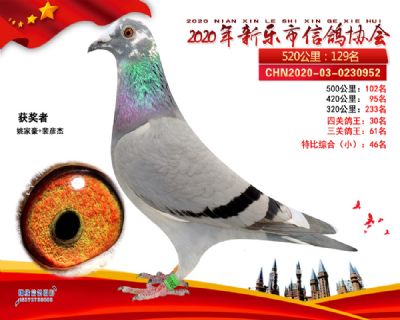 特比46