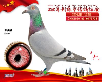 2020新乐协会132