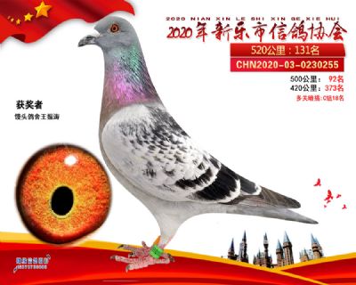 500 公里92