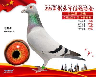 2020新乐协会138