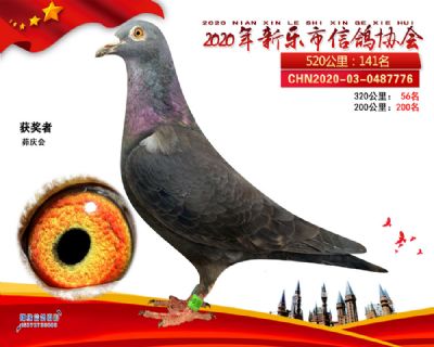 黑衣骑士