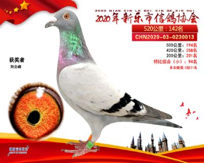 特比94