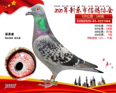特比91