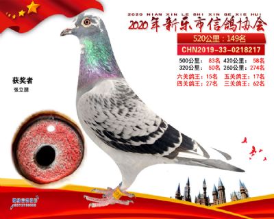 六关鸽王15