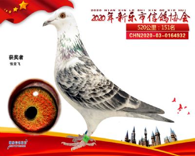 2020新乐协会151