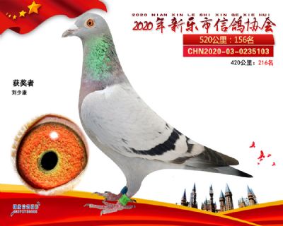 2020新乐协会156