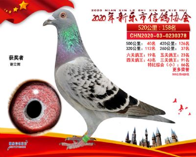 王中王