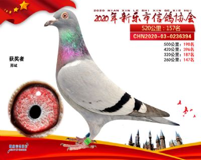 2020新乐协会157