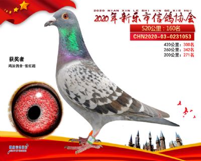 卡普专线