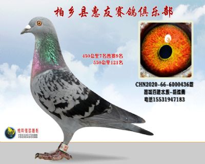 450公里7名