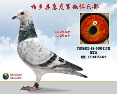 450公里36名