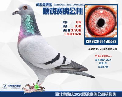 決賽冠軍