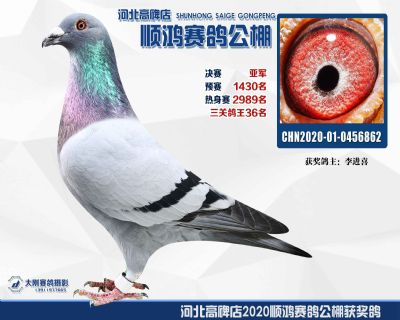 決賽亞軍