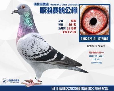 決賽季軍
