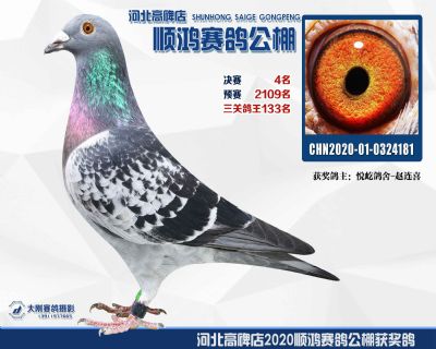 決賽4名