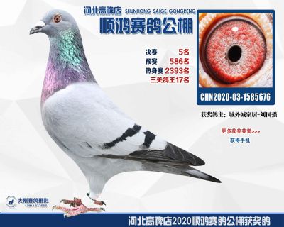 決賽5名