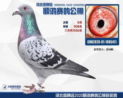 決賽6名