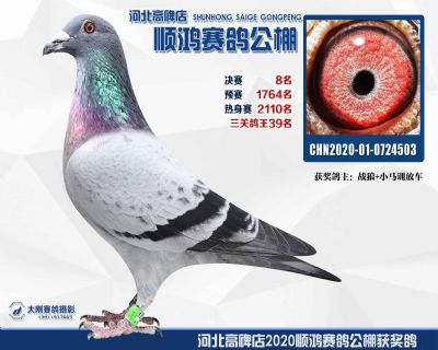 決賽8名