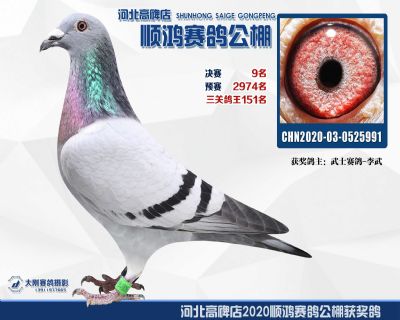 決賽9名