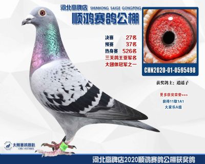決賽27名,鴿王亞軍