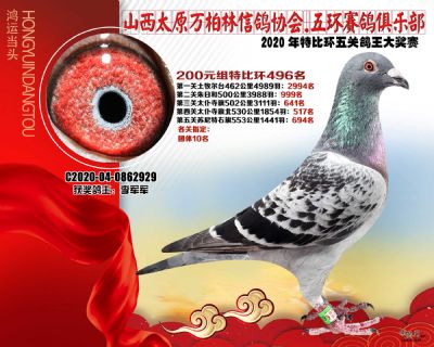 萬柏林200元組496名