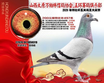 萬柏林200元組497名