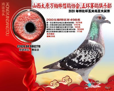 萬柏林200元組498名
