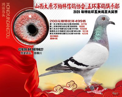 萬柏林200元組499名