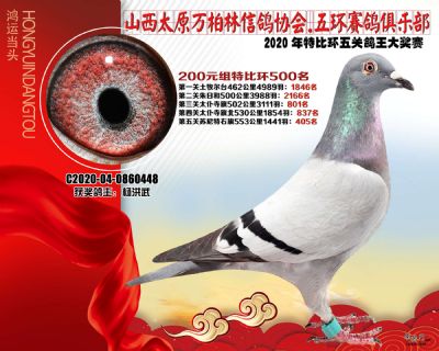 萬柏林200元組500名