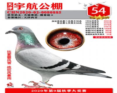 血戰到底排名賽54名