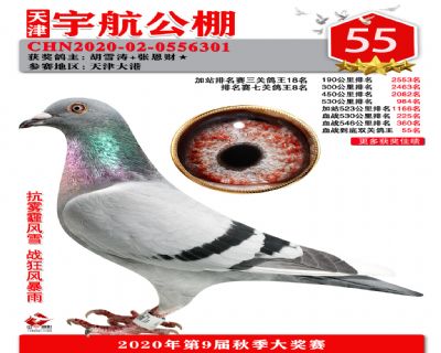 血戰到底排名賽55名