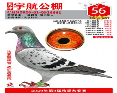 血戰到底排名賽56名
