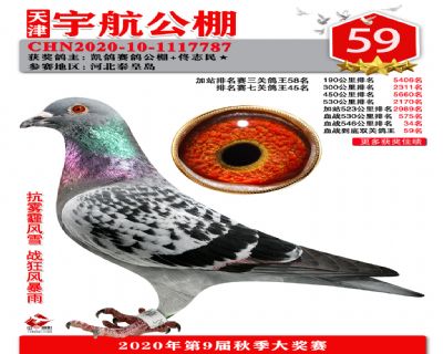 血戰到底排名賽59名