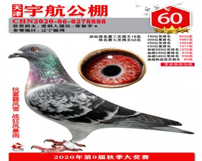 血戰到底排名賽60名