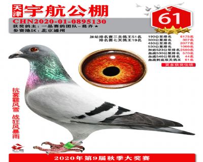 血戰到底排名賽61名